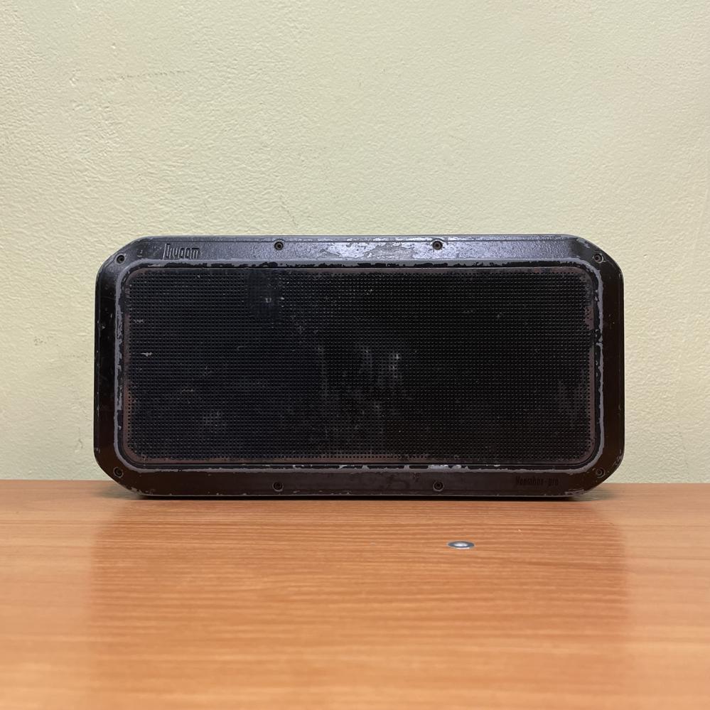 Колонка Divoom Voombox Pro