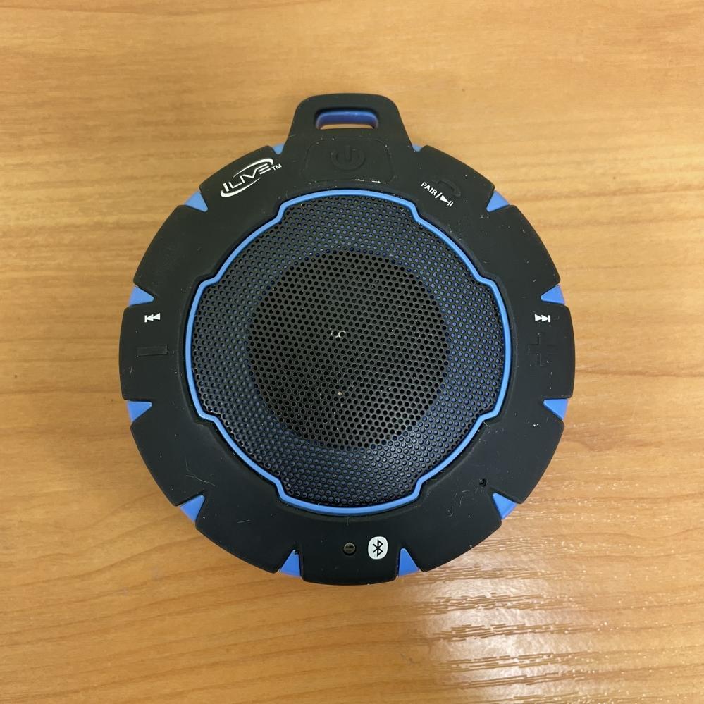 Колонка iLive SBW157BU